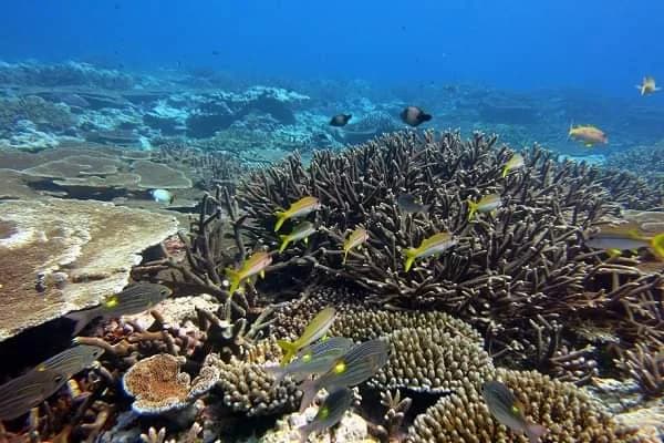Photographie fournie par le client, illustration du lagon du sud-est, image 2